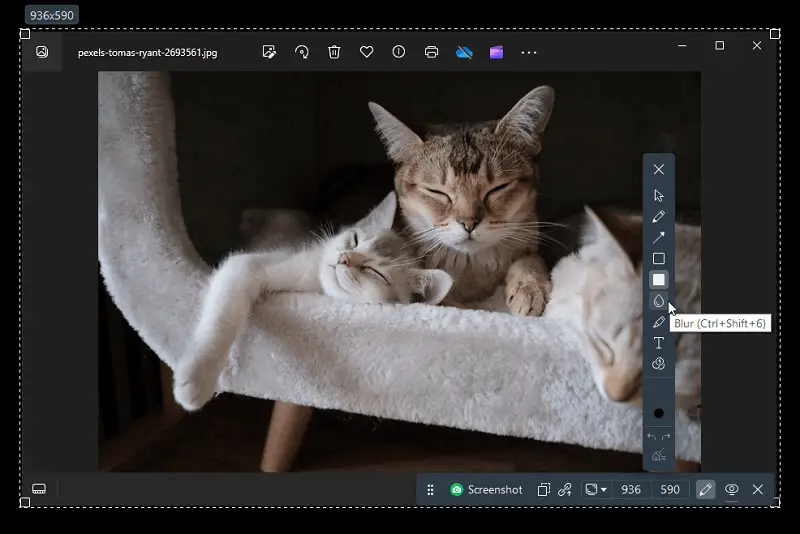 Icecream Screen Recorder 3